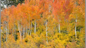 Fall Colors Photo Gallery