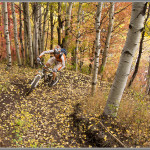 Park City Fall Aspens - Fine Art Mountain Bike Photography