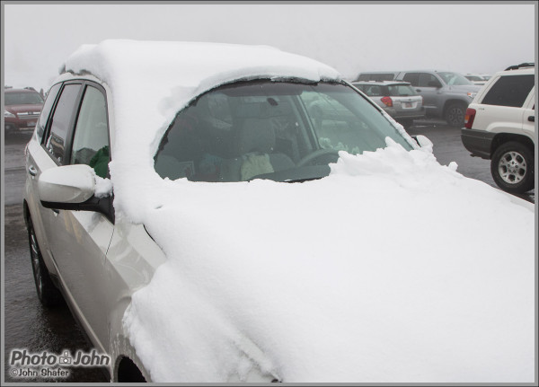 Snowy Cars On Alta Closing Day