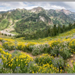 Alta Wildflower Panorama - Best Adventure Photos of 2017